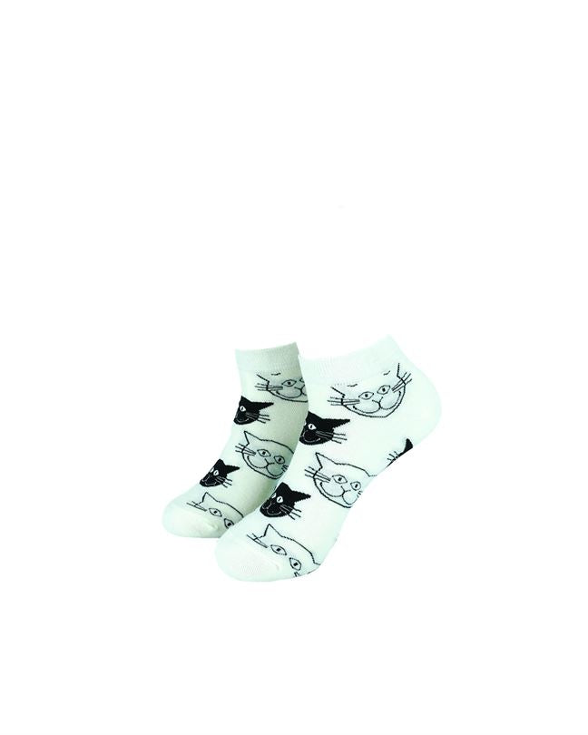 White and Black Cats