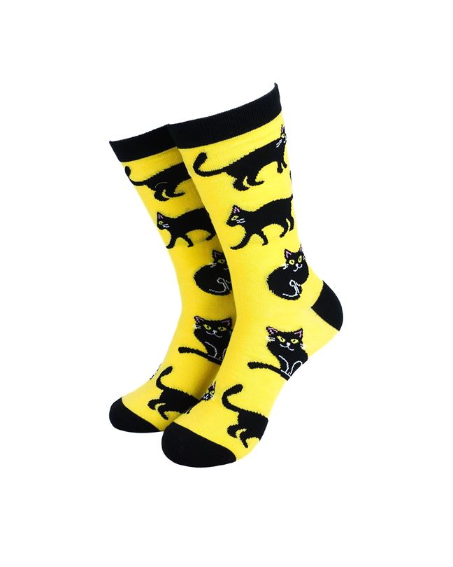 Black Cats Yellow
