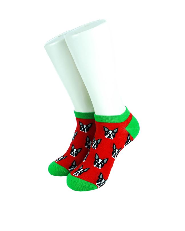 Boston Terrier Red Green
