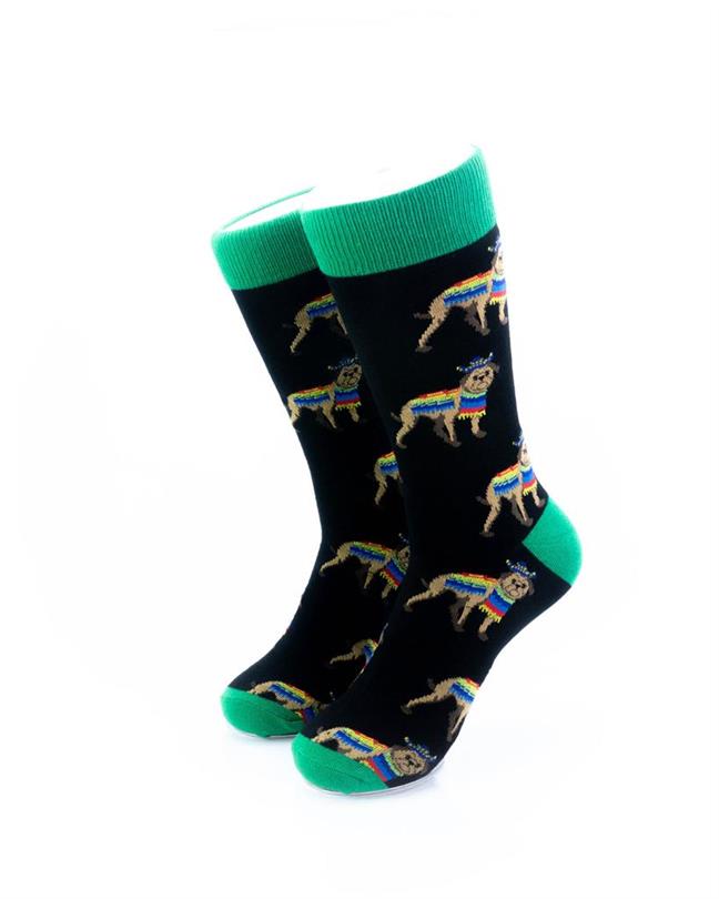 cooldesocks dog poncho green crew socks front view image