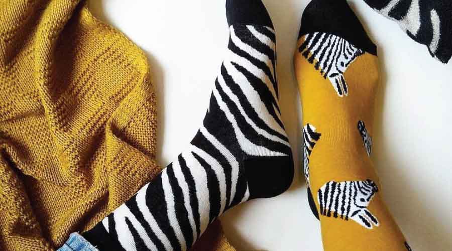 CoolDeSocks Animal Socks Collection