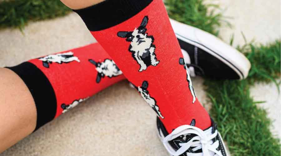 cooldesocks cat & dog socks collection
