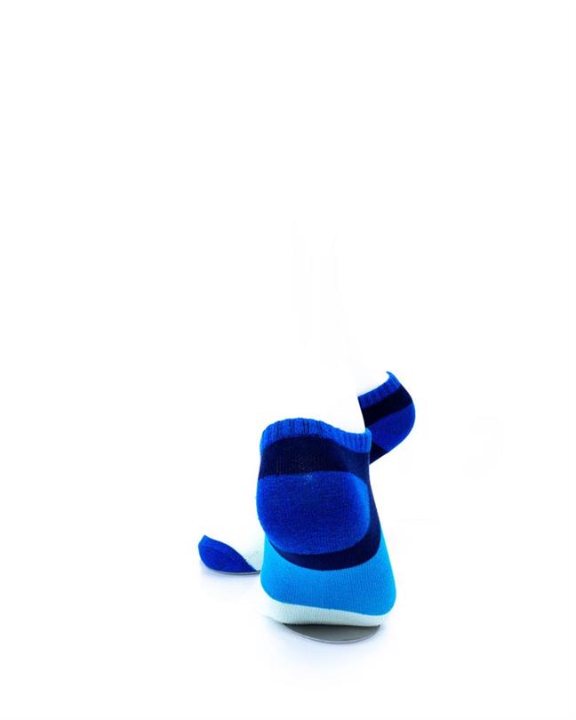 cooldesocks big stripe blue ankle socks rear view image