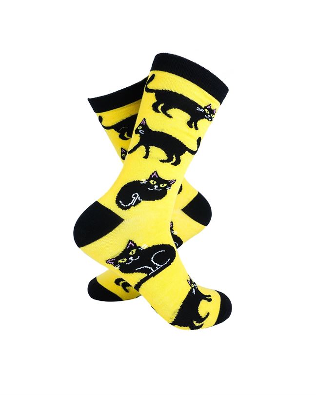 Black Cats Yellow