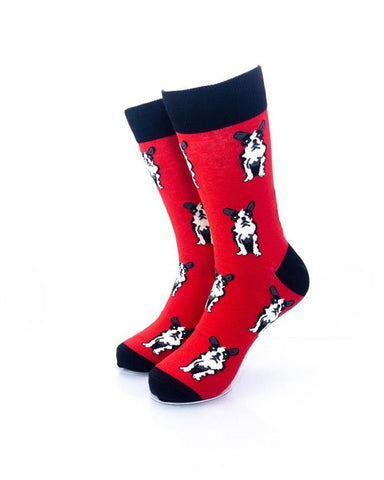 cooldesocks boston terrier crew socks front view image