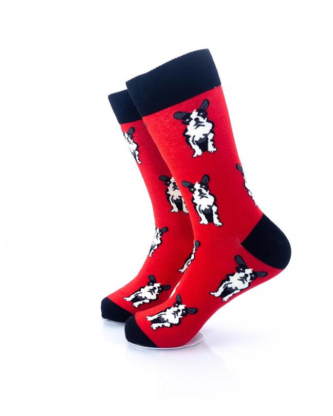 cooldesocks boston terrier crew socks left view image