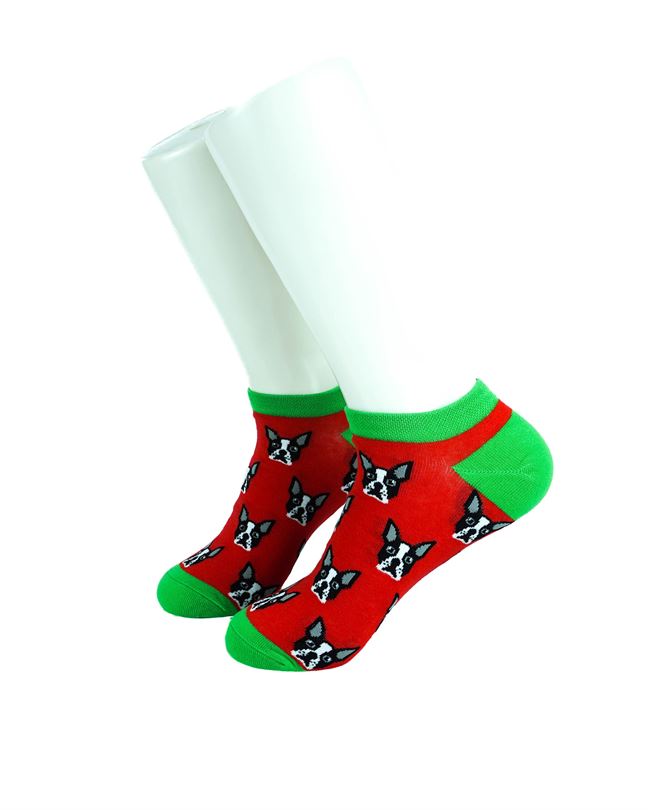Boston Terrier Red Green