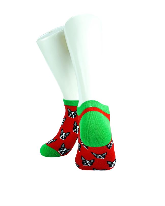 Boston Terrier Red Green