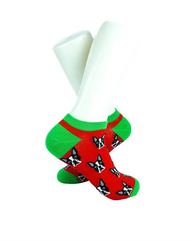 Boston Terrier Red Green