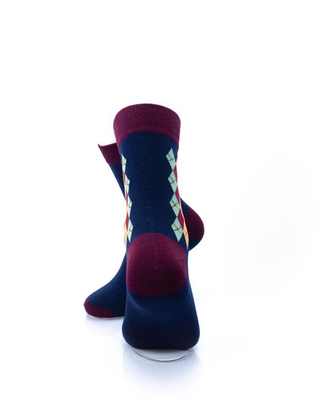 cooldesocks classic oxford quarter socks rear view image