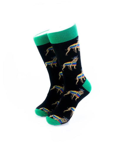 cooldesocks dog poncho green crew socks front view image