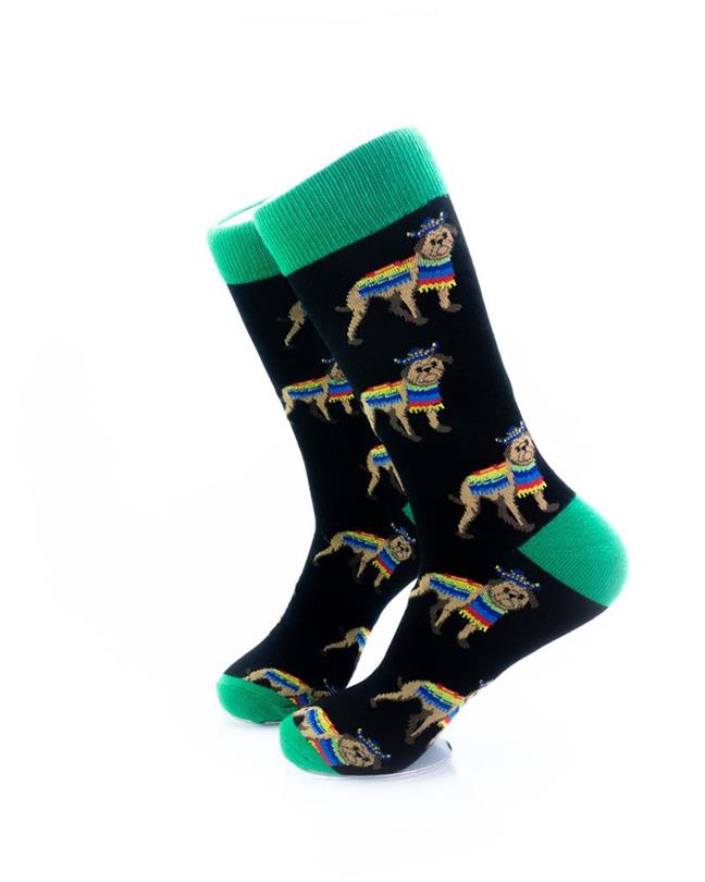 cooldesocks dog poncho green crew socks left view image