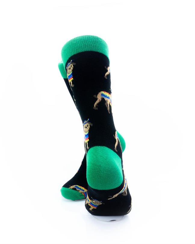 cooldesocks dog poncho green crew socks rear view image