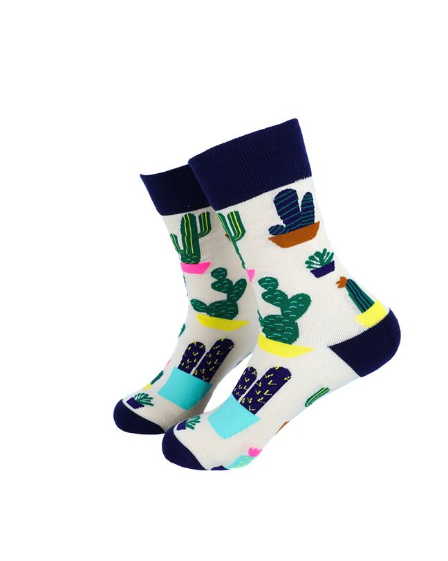 Ladies - Colorful Cactus