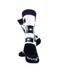 cooldesocks ladies snap crew socks rear view image