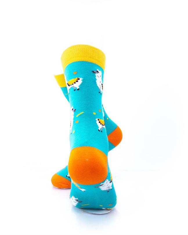 cooldesocks llama crew socks rear view image