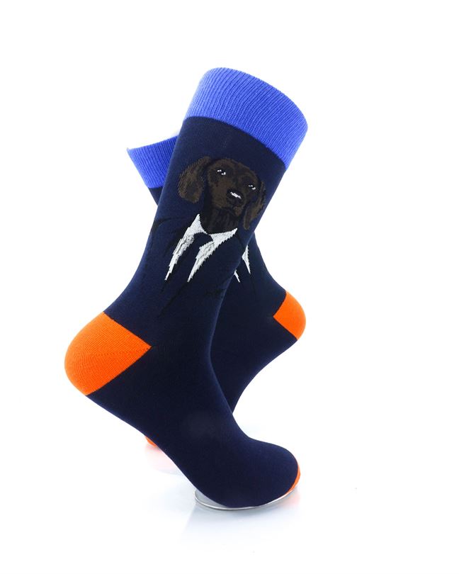 cooldesocks mister labrador crew socks right view image