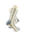 cooldesocks mustace khaki crew socks right view image