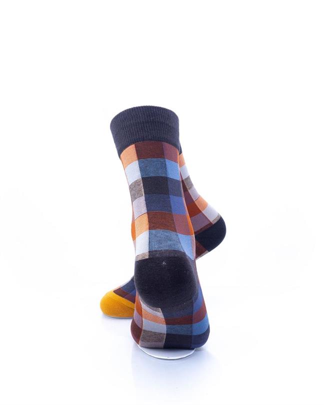 cooldesocks old school earth tone quarter socks rear view image