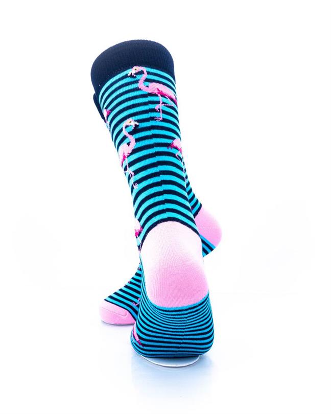 cooldesocks pink flamingos blue stripes crew socks rear view image