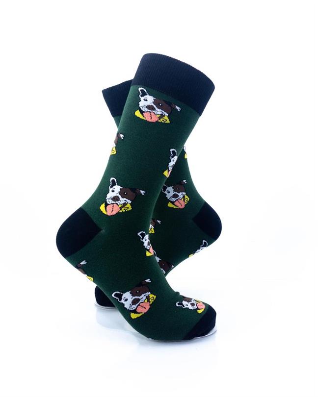 cooldesocks pitbull puppies crew socks right view image