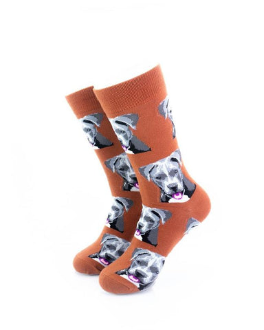 cooldesocks pitbull terrier crew socks front view image