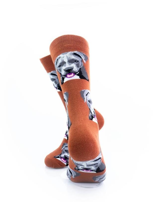 cooldesocks pitbull terrier crew socks rear view image