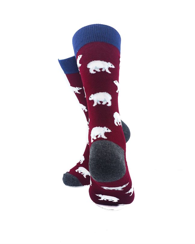 cooldesocks polar bear blue maroon crew socks rear view image