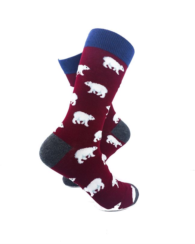 cooldesocks polar bear blue maroon crew socks right view image