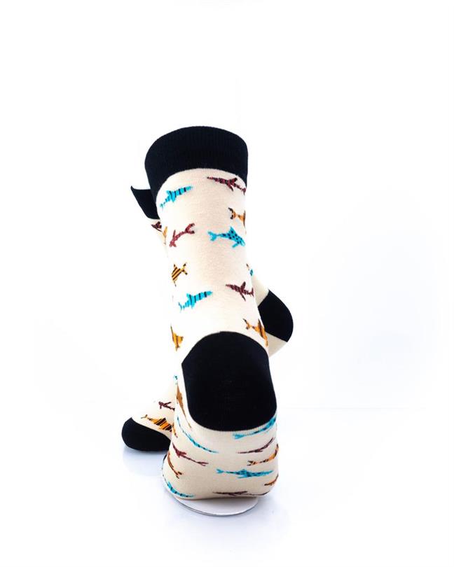 cooldesocks schooling sharks quarter socks rear view image