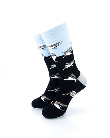 cooldesocks shark swarm crew socks front view image