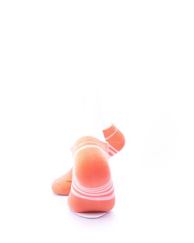 cooldesocks shrimp smile ankle socks rear view image