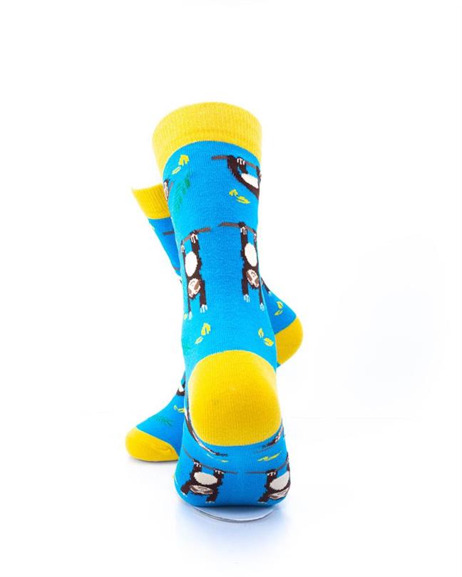 cooldesocks sloths crew socks rear view image