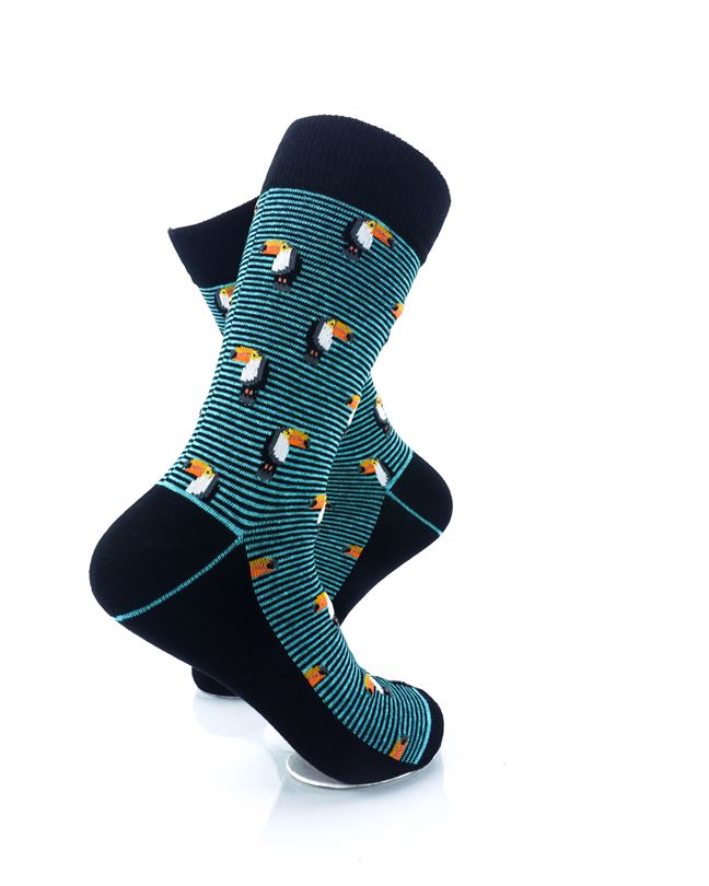 cooldesocks striped small hornbill crew socks right view image