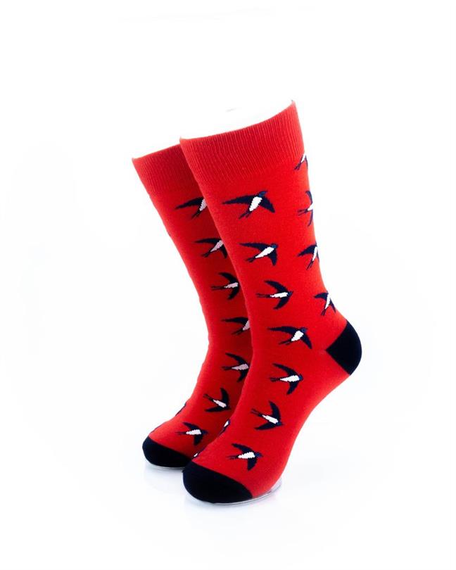 cooldesocks swallow print crew socks front view image