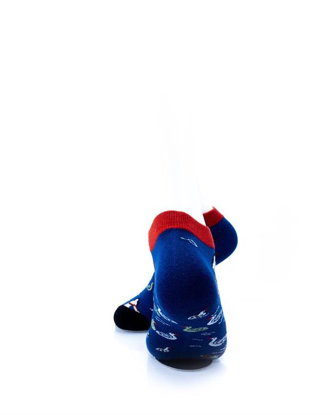 cooldesocks swimming pond ankle socks rear view image