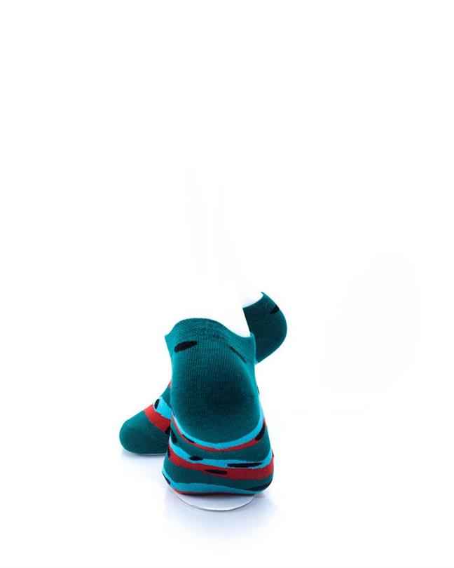 cooldesocks watermelon stripes ankle socks rear view image