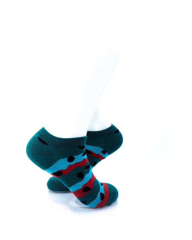 cooldesocks watermelon stripes ankle socks right view image