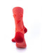 cooldesocks xoxo crew socks rear view image