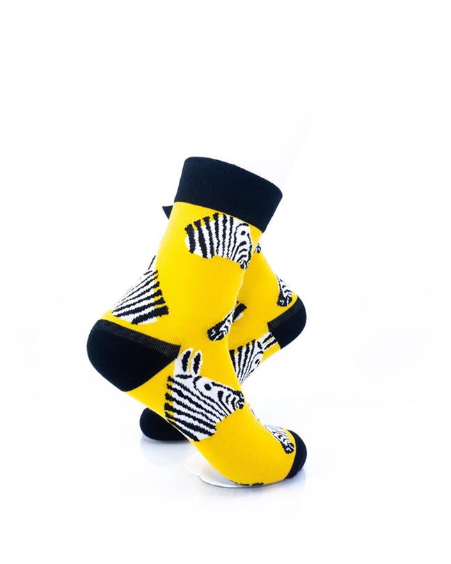 cooldesocks zebra quarter socks right view image